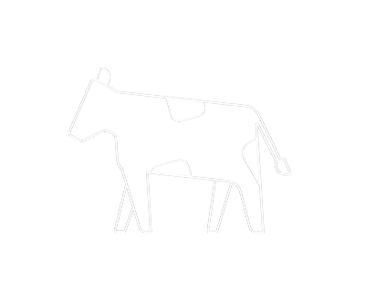 Animal Welfare