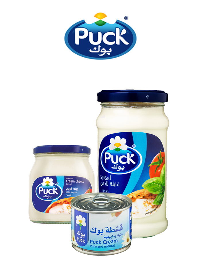 puck-logo-products-2.png