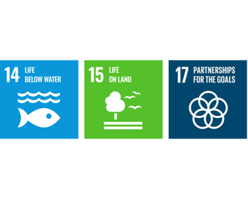 The UN Global Goals of Sustainable Development