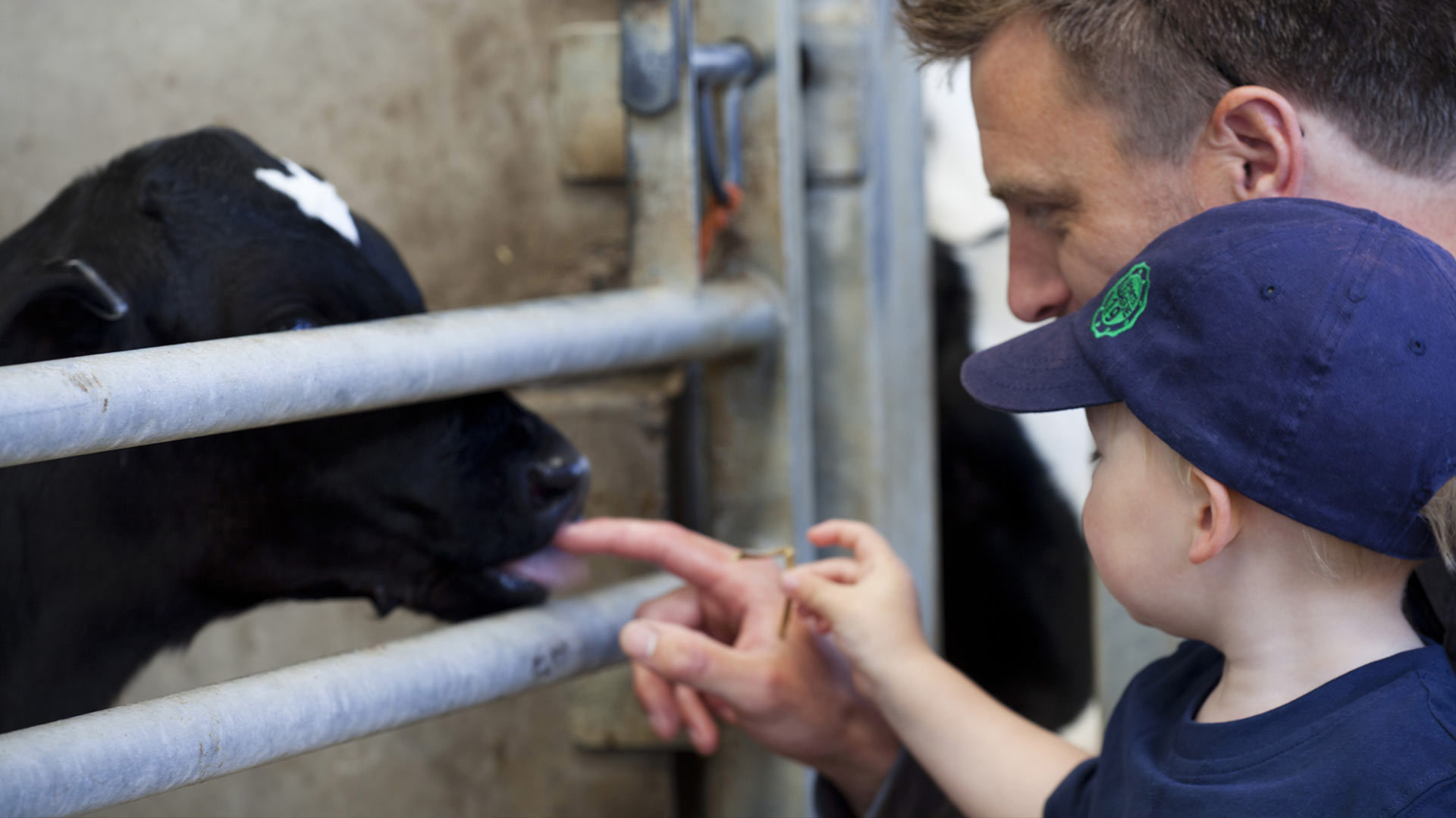 Owned by 12,700 farmers in seven countries