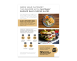 Castello Burger Blue Cheese Slices Sell Sheet 2023