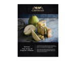Castello Stilton Blue Cheese 4.9oz Sell Sheet