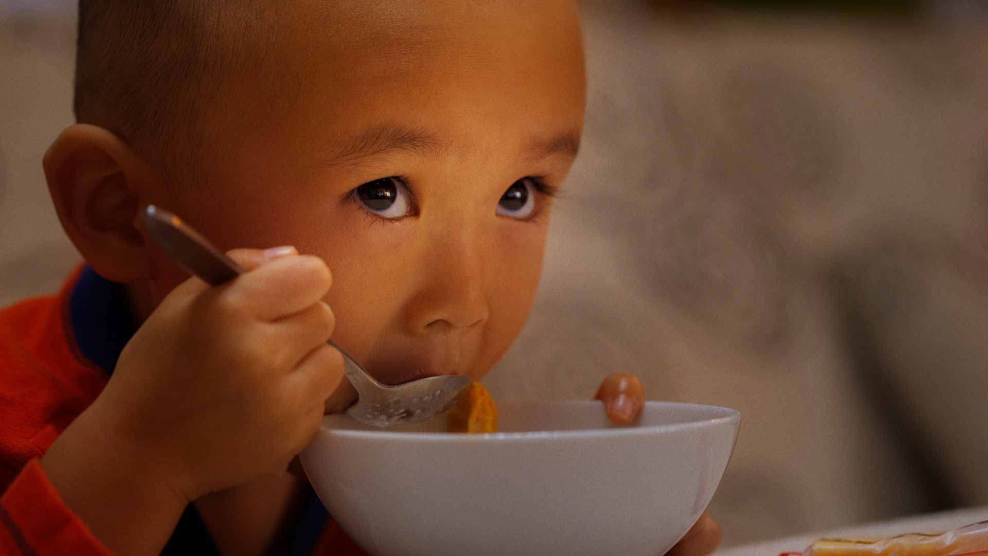 Nutrients In Milk